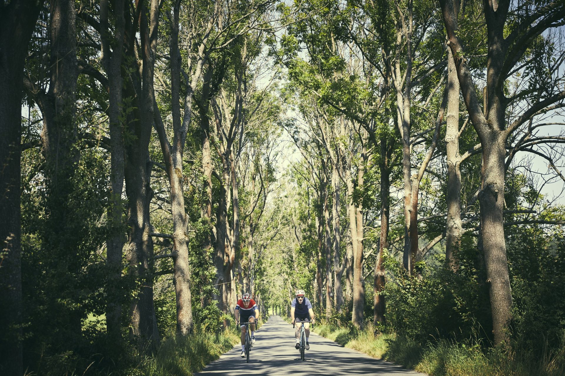 Na trase L'Etape Czech republic by Tour de France. Foto: Matěj Třešňák