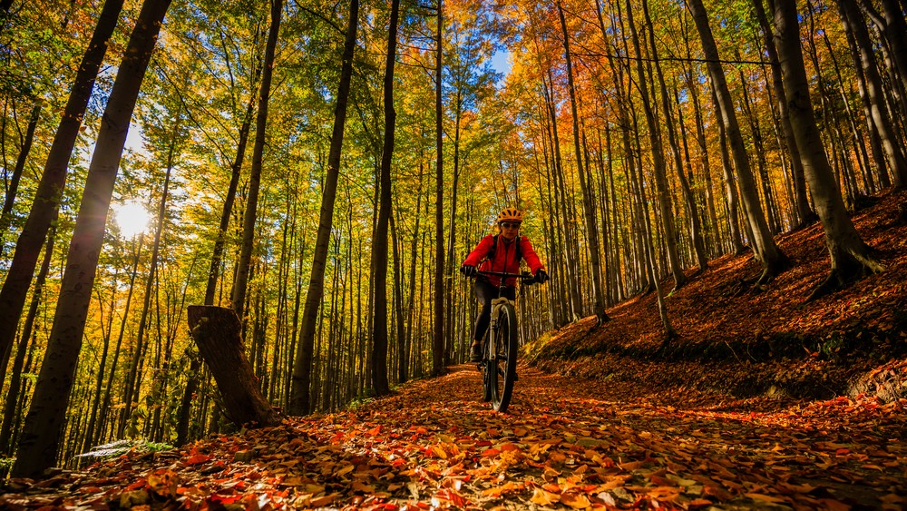 Donwhill Cycling