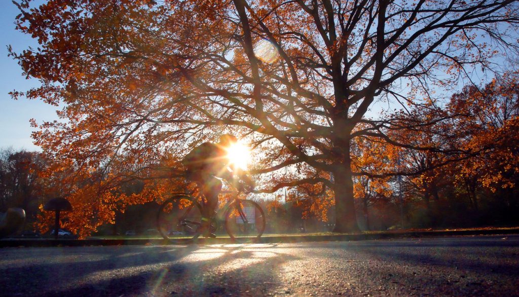 Autumn cycling