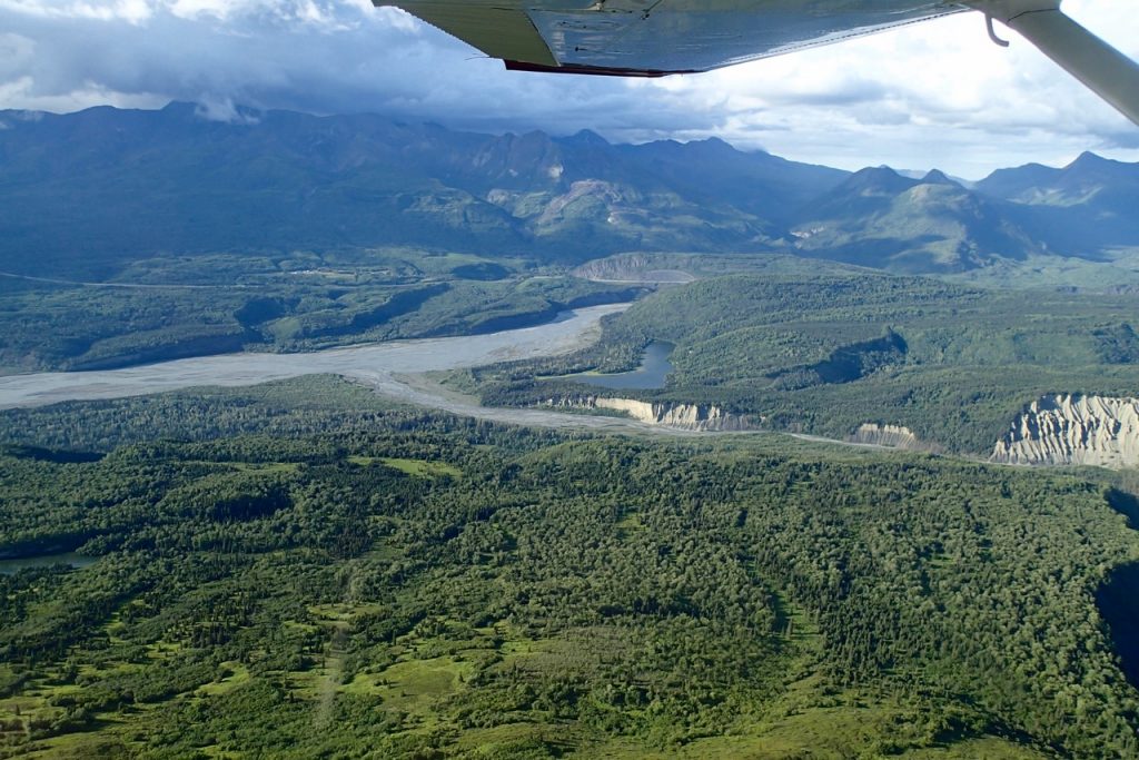 The forests seen from the little airplane