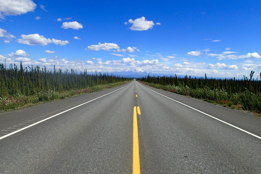 Nothing but endless forest on my left and right.