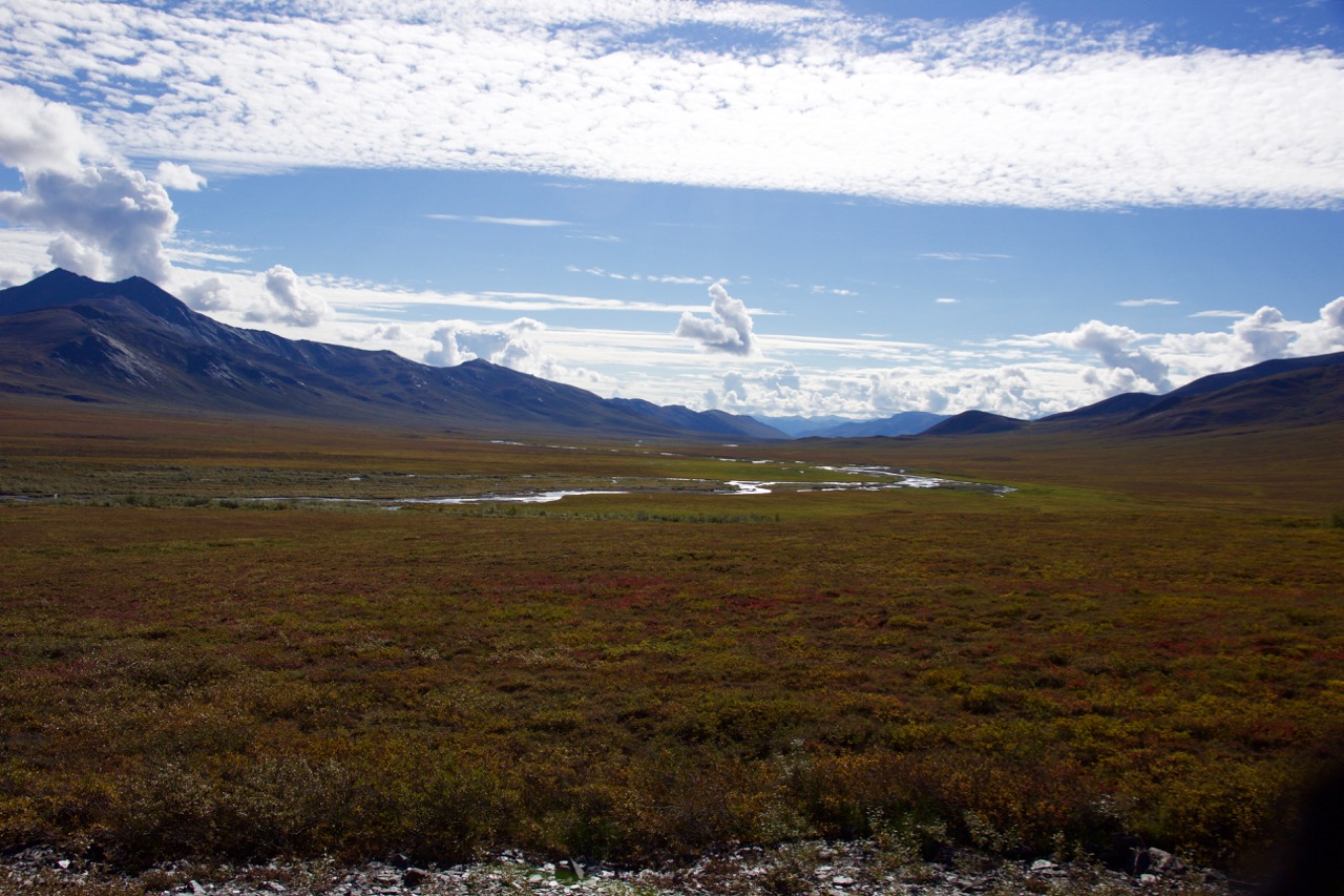 Beautiful autumn colors in the tundra beyond Antigun pass *