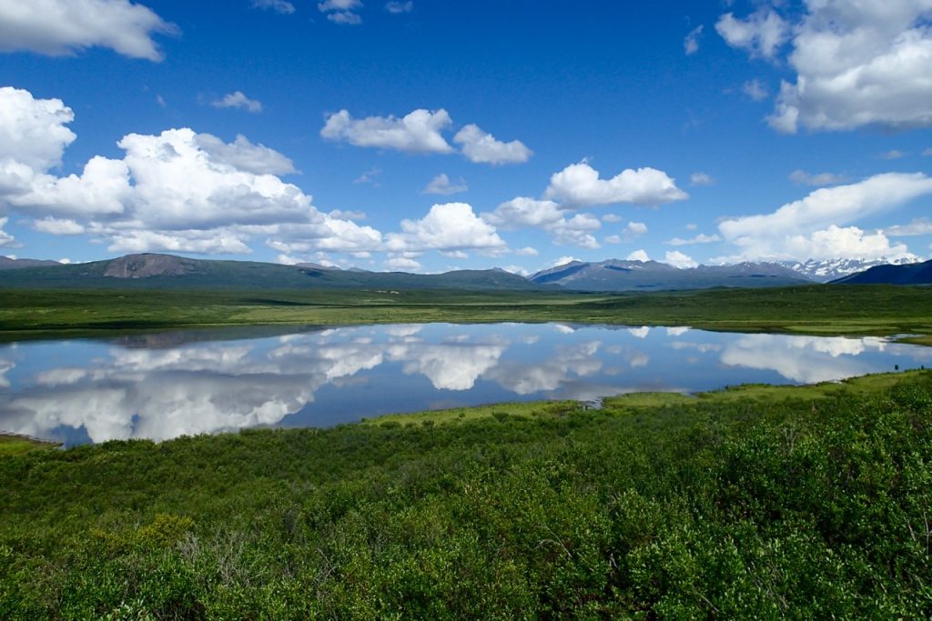Beautiful weather and views from the Denali highway.