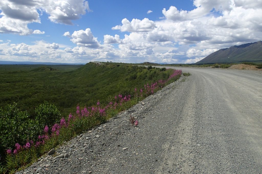 Denali Highway