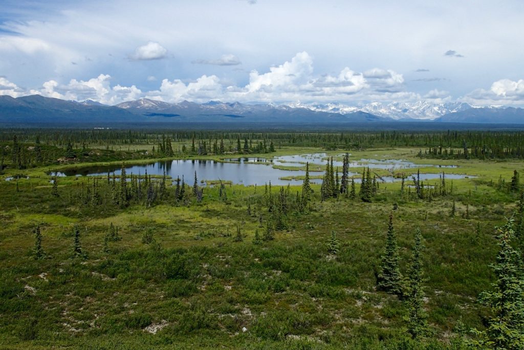 WILDERNESS