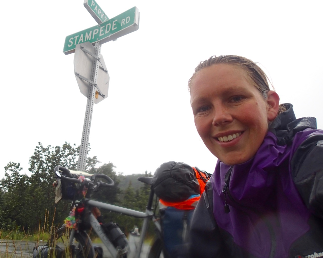 Stampede road, that will turn into Stampede trail. The trail McCandless went.