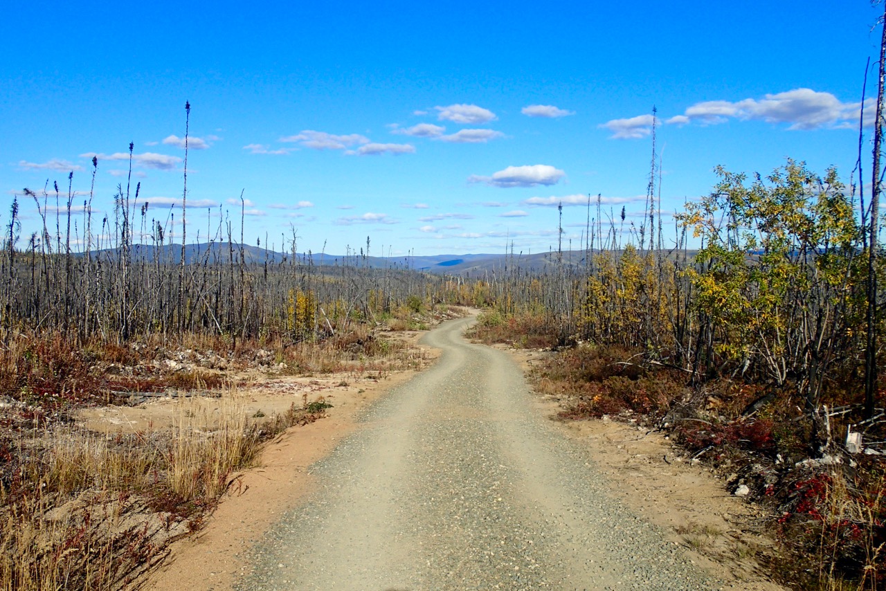 Winding road to the cabin