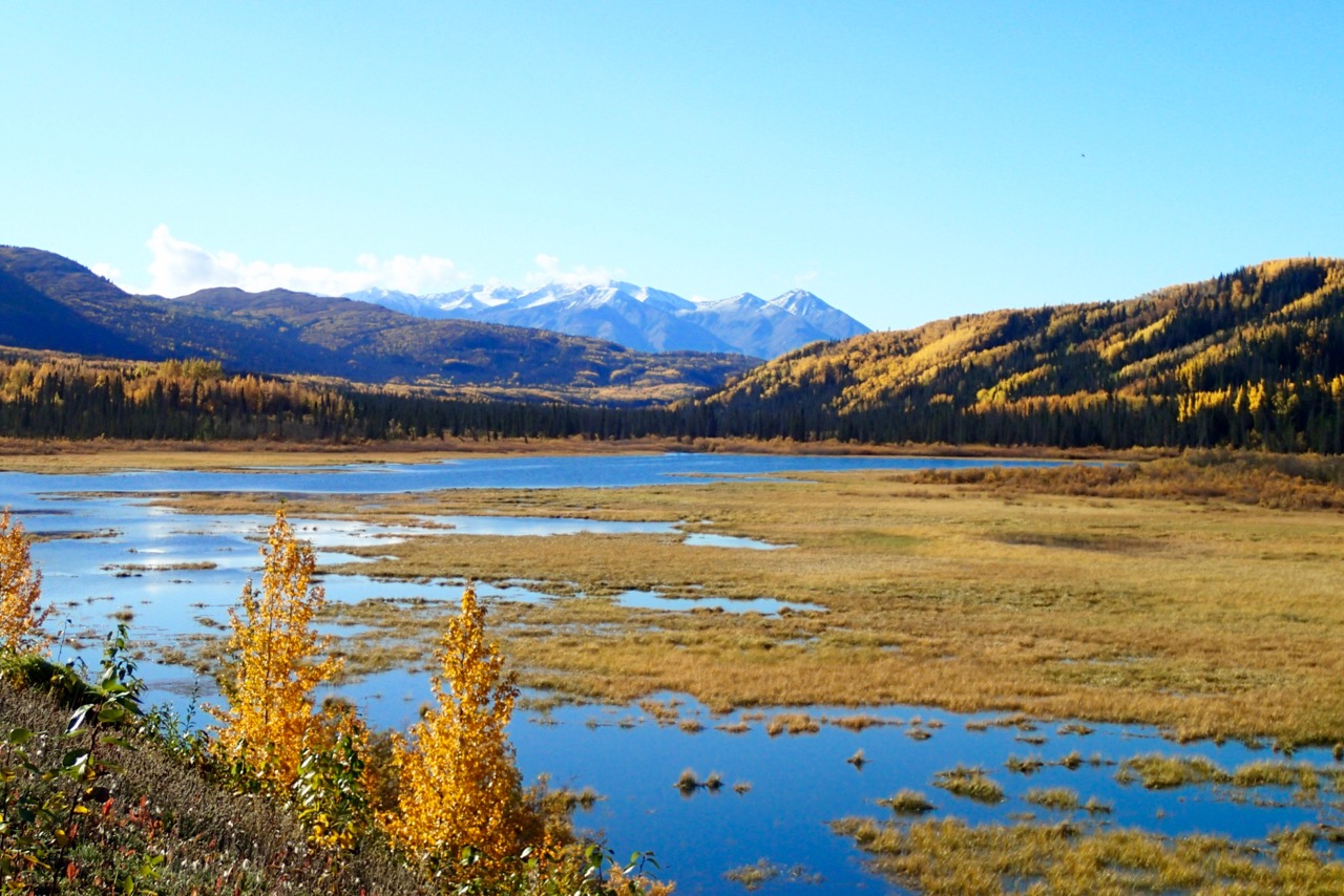 Wilderness between Haines Junction and Haines.