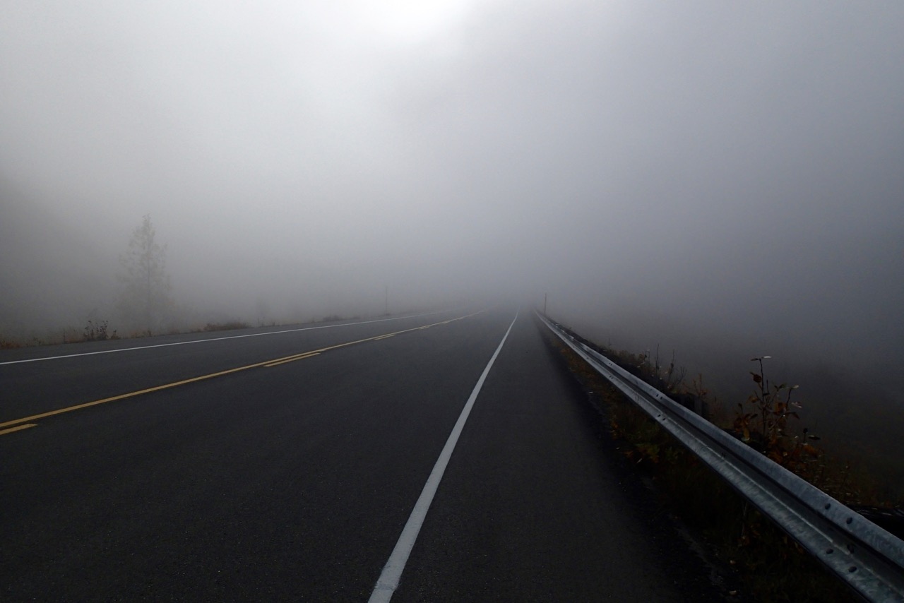 Very foggy on the road