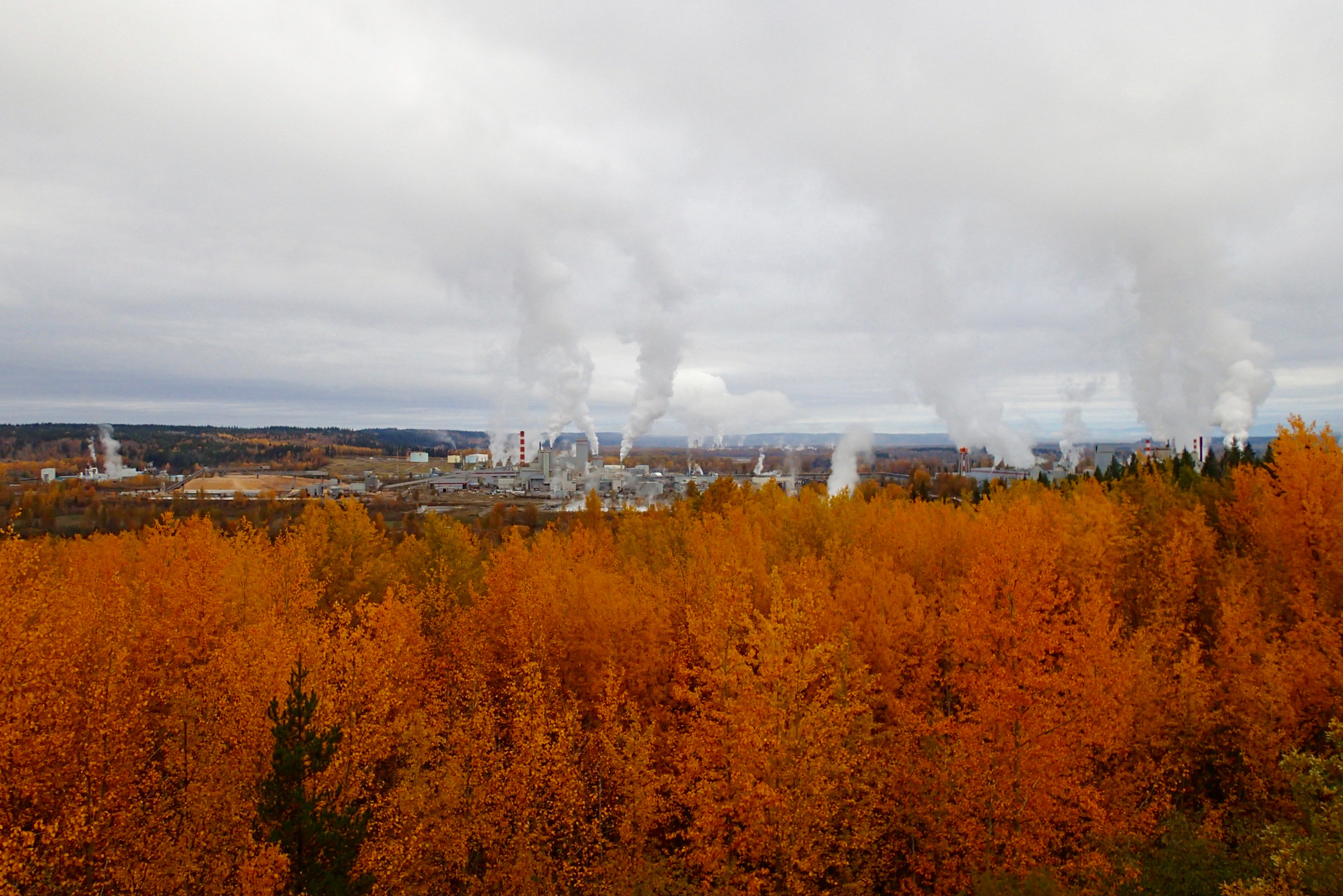 Prince George. That’s where they’re making all the clouds!