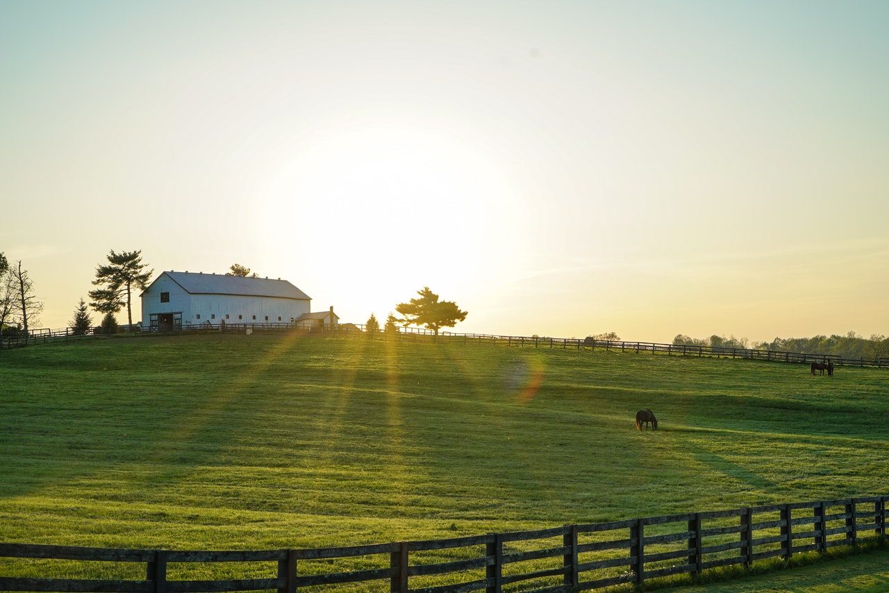 Farma w Kentucky