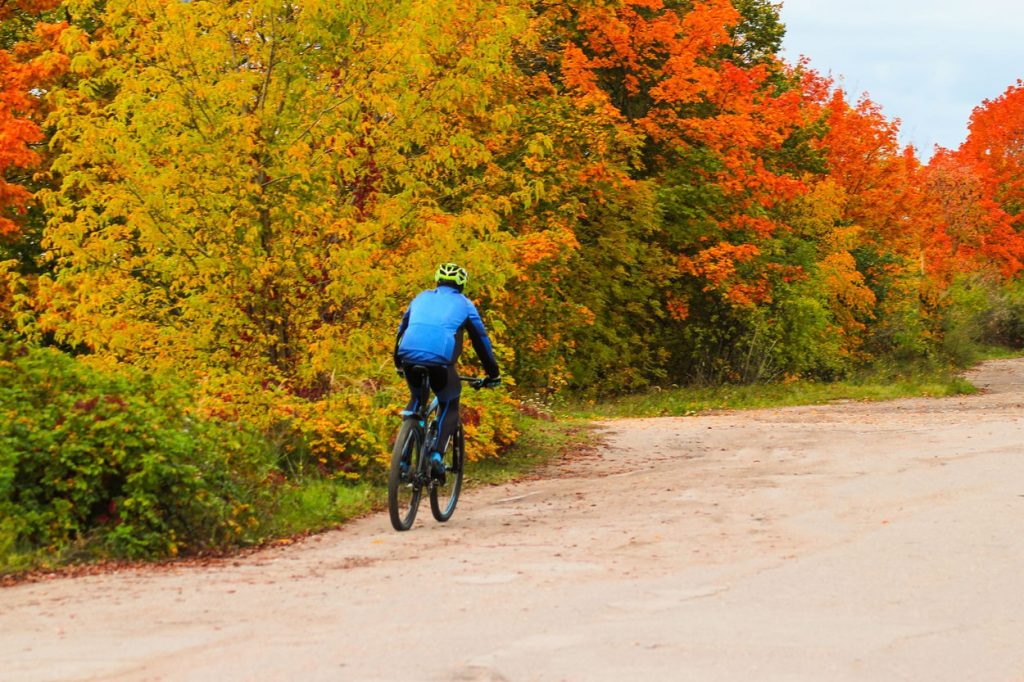 Autumn Cycling