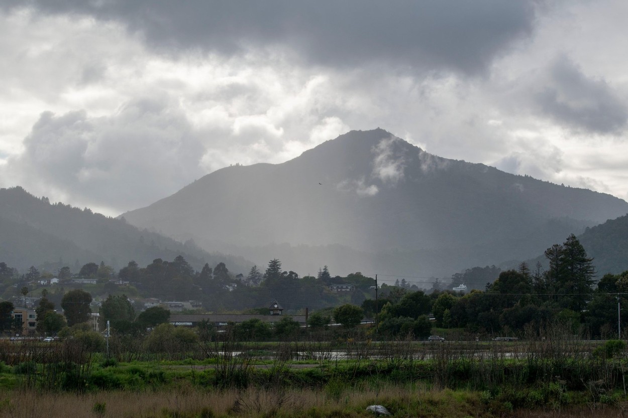 Mt. Tamalpais
