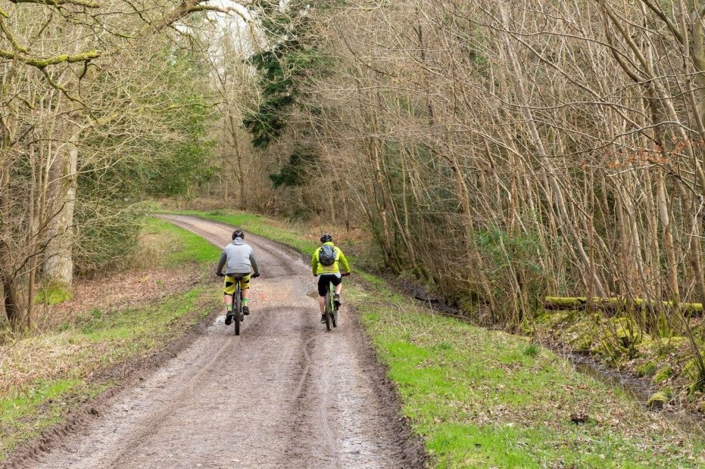 Cyclists in nature