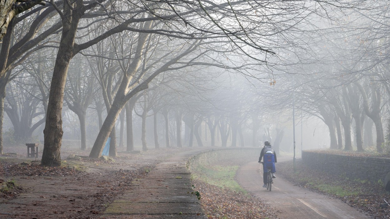 Cycling in the Mist