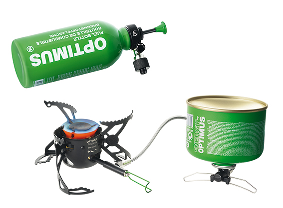 Multi-fuel stove